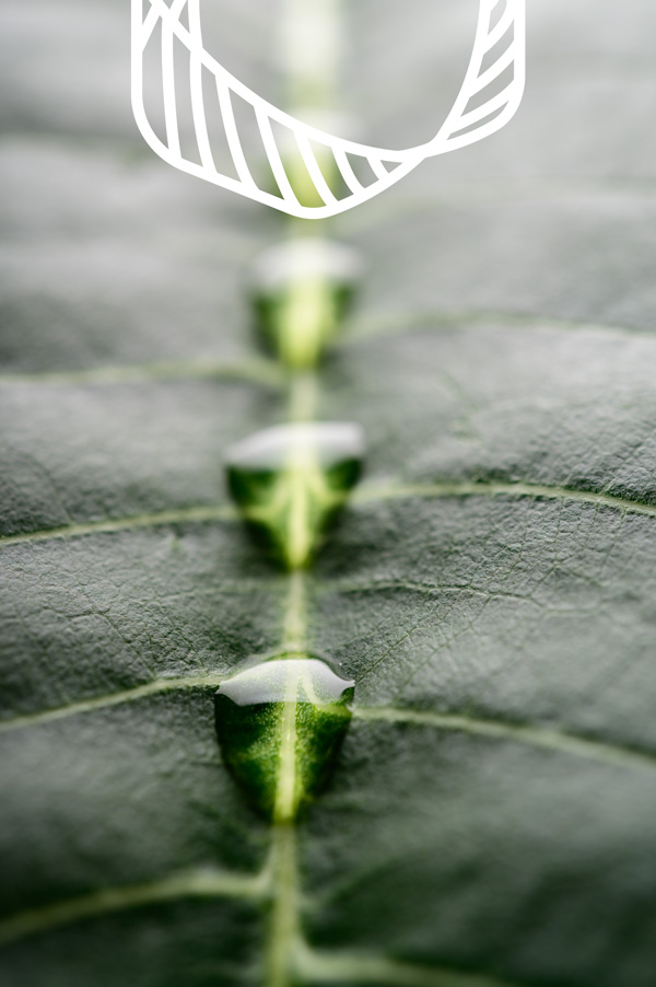 dna-advogados-ambiental