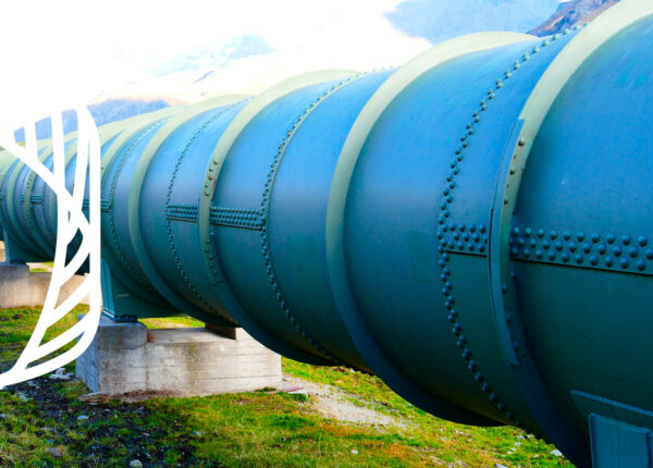 Produção-de-biogás-e-biometano-novas-apostas-para-o-mercado-de-energia-limpa